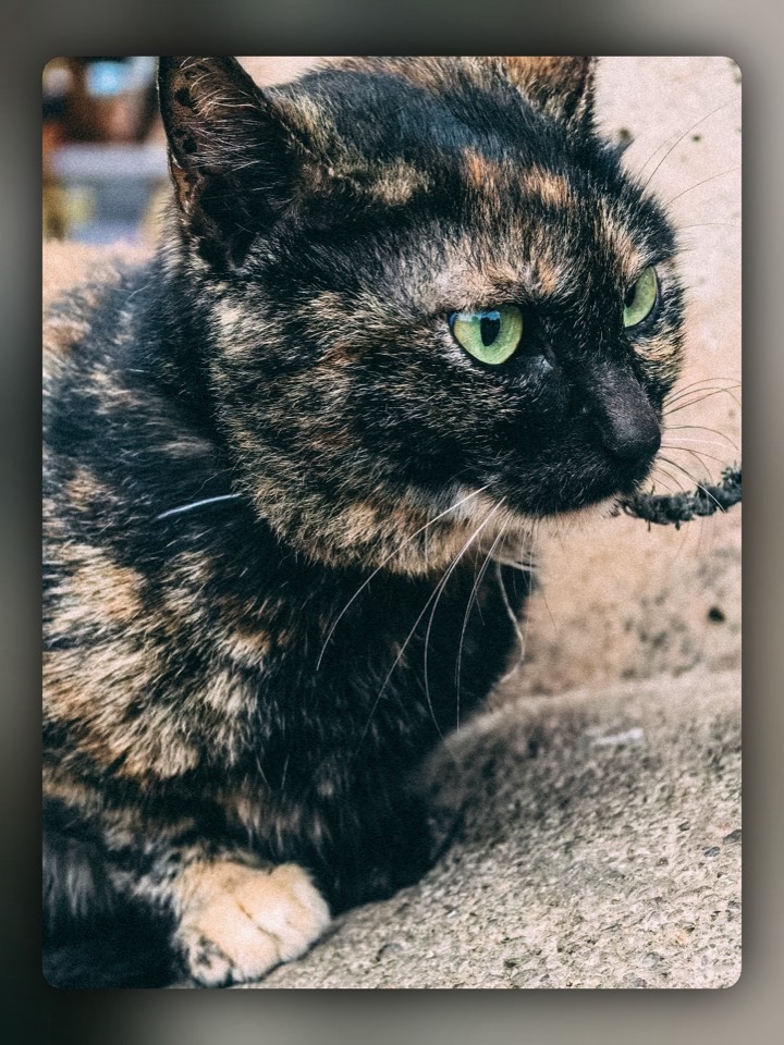 2025 03 11 141333 178